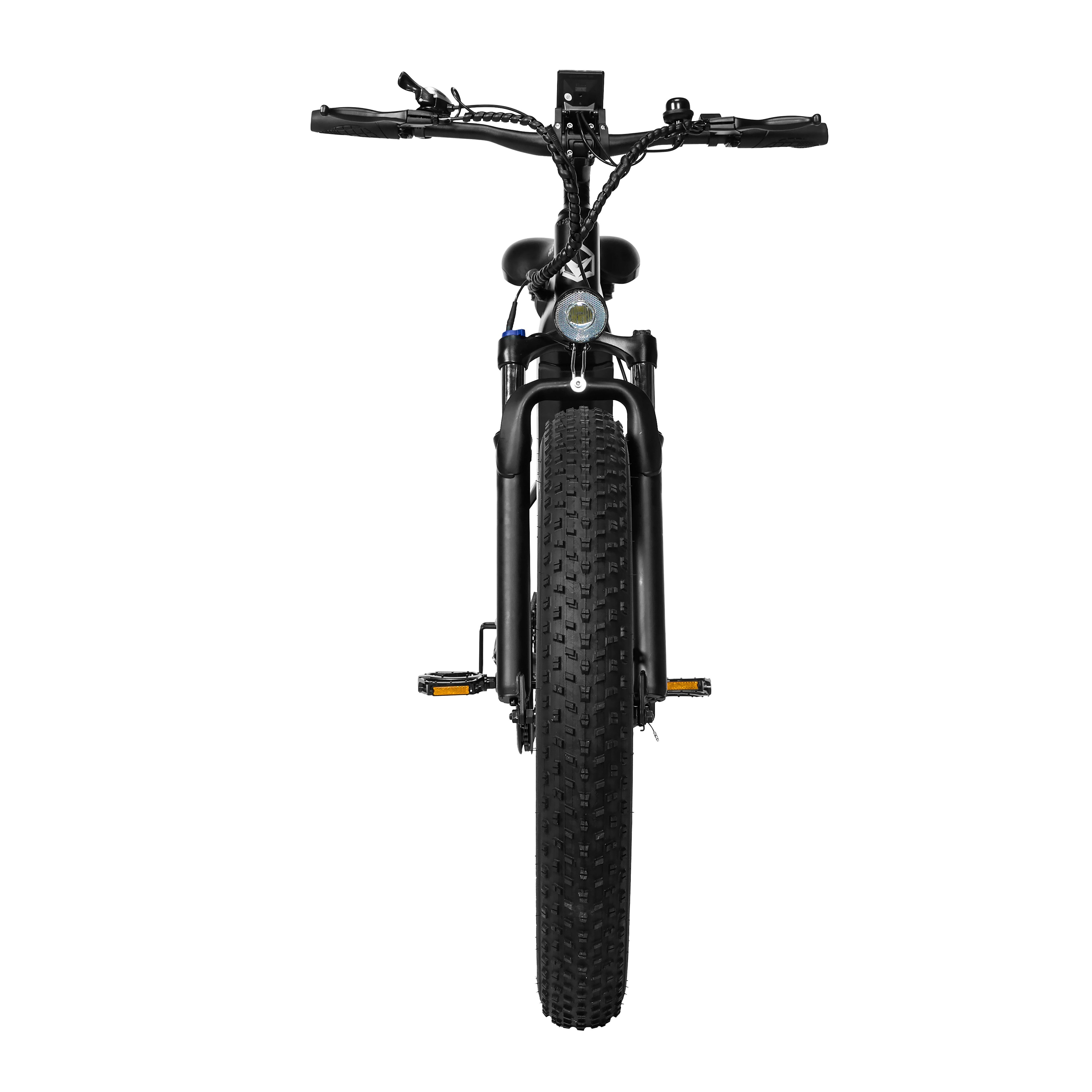 Space High-Step Long-Range eBike